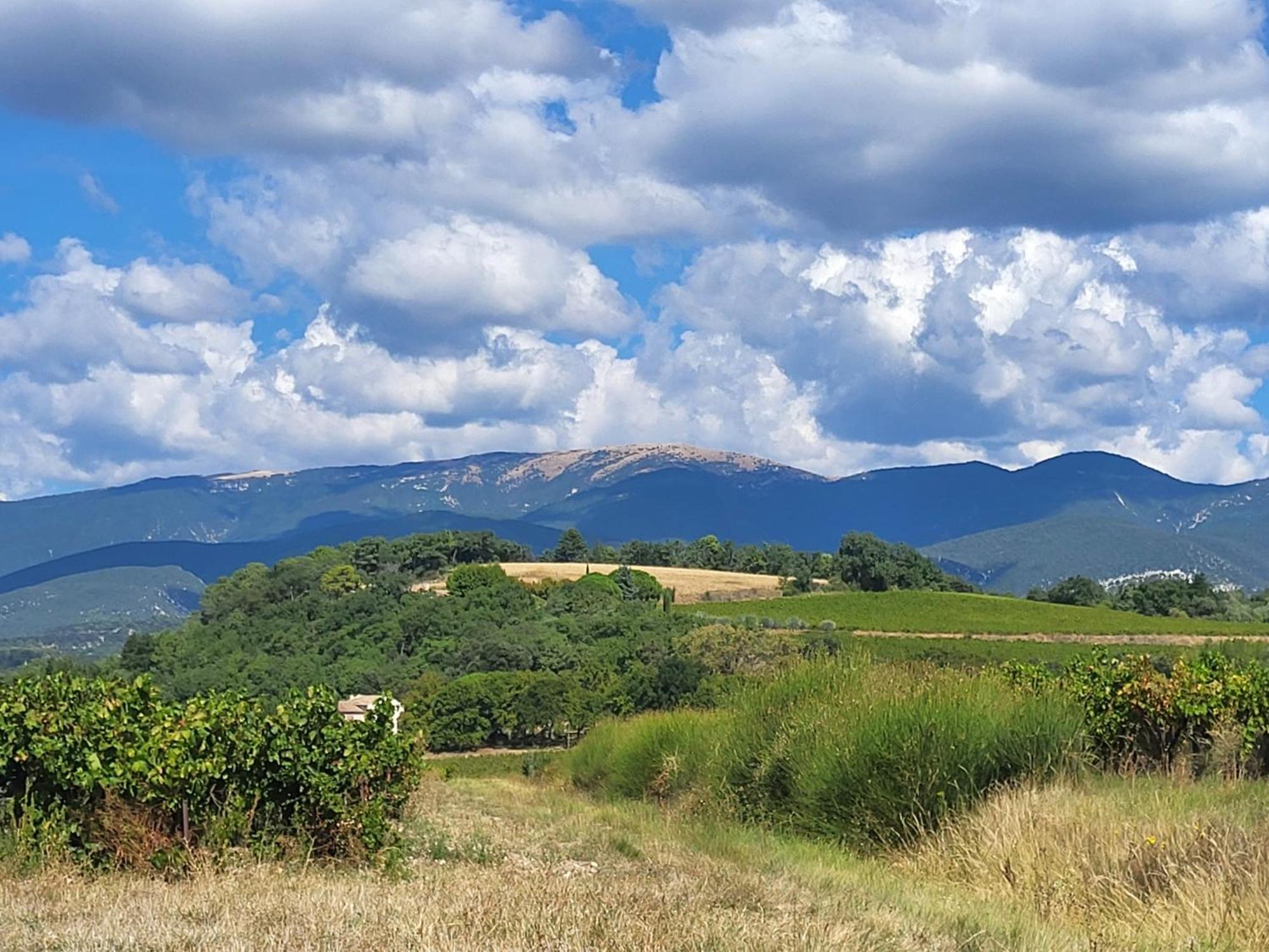 Les Saffres - Gite De Charme Pour 8 Personnes Valréas Extérieur photo